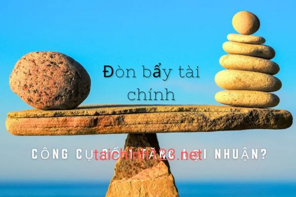 Đòn bẩy tài chính là gì?  Cách hành xử của nhà đầu tư cá nhân