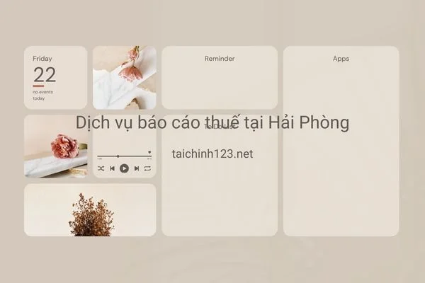 Dịch Vụ Báo Cáo Thuế tại Hải Phòng