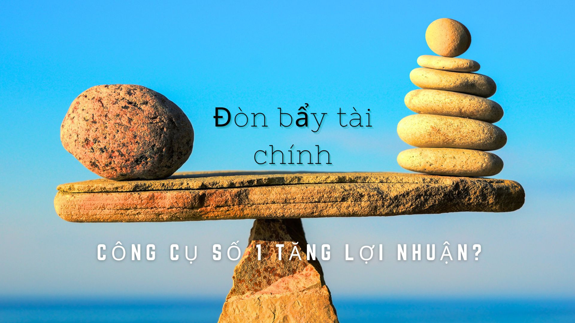 don-bay-tai-chinh
